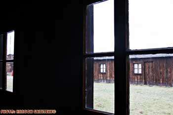 IMG_ (10831)